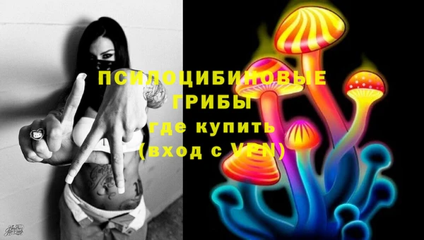 PSILOCYBIN Алексин