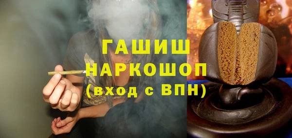 PSILOCYBIN Алзамай