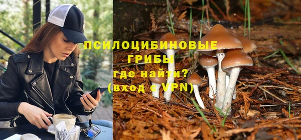 PSILOCYBIN Алексин