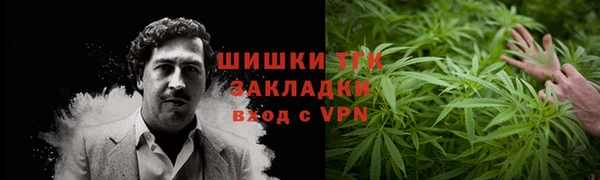 PSILOCYBIN Алзамай