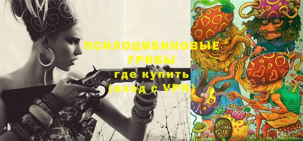 PSILOCYBIN Алзамай