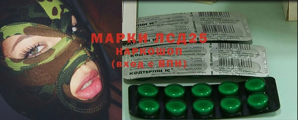 PSILOCYBIN Алзамай