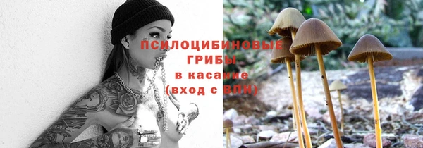 PSILOCYBIN Алзамай