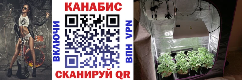 что такое наркотик  Снежинск  Бошки Шишки VHQ 